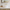 Noosa White Gloss Wave