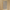 Lifestone Light Grey Matte