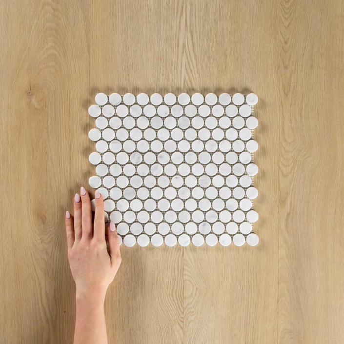 Carrara Marble Mosaic Penny Round Honed Mosaic