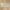 Travertine Stone Ivory French Pattern