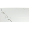 Magnificent Carrara Polished