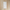 Antique Terrazzo Stone Marshmallow Matte Shine