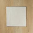 Astra White Matte