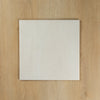 Astra White Matte