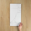 Carrara White Gloss