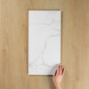 Carrara White Gloss