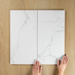 Carrara White Gloss