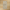 Ceppo Dark Beige In Out