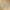 Ceppo Dark Beige In Out