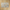 Deva Beige