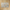 Deva Beige