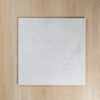 Astra White In Out
