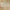 Travertine Stone Ivory French Pattern