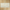 Invictus Beige Matte