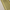 Lauxes Aluminium Matte Gold Next Gen 100mm x 14mm