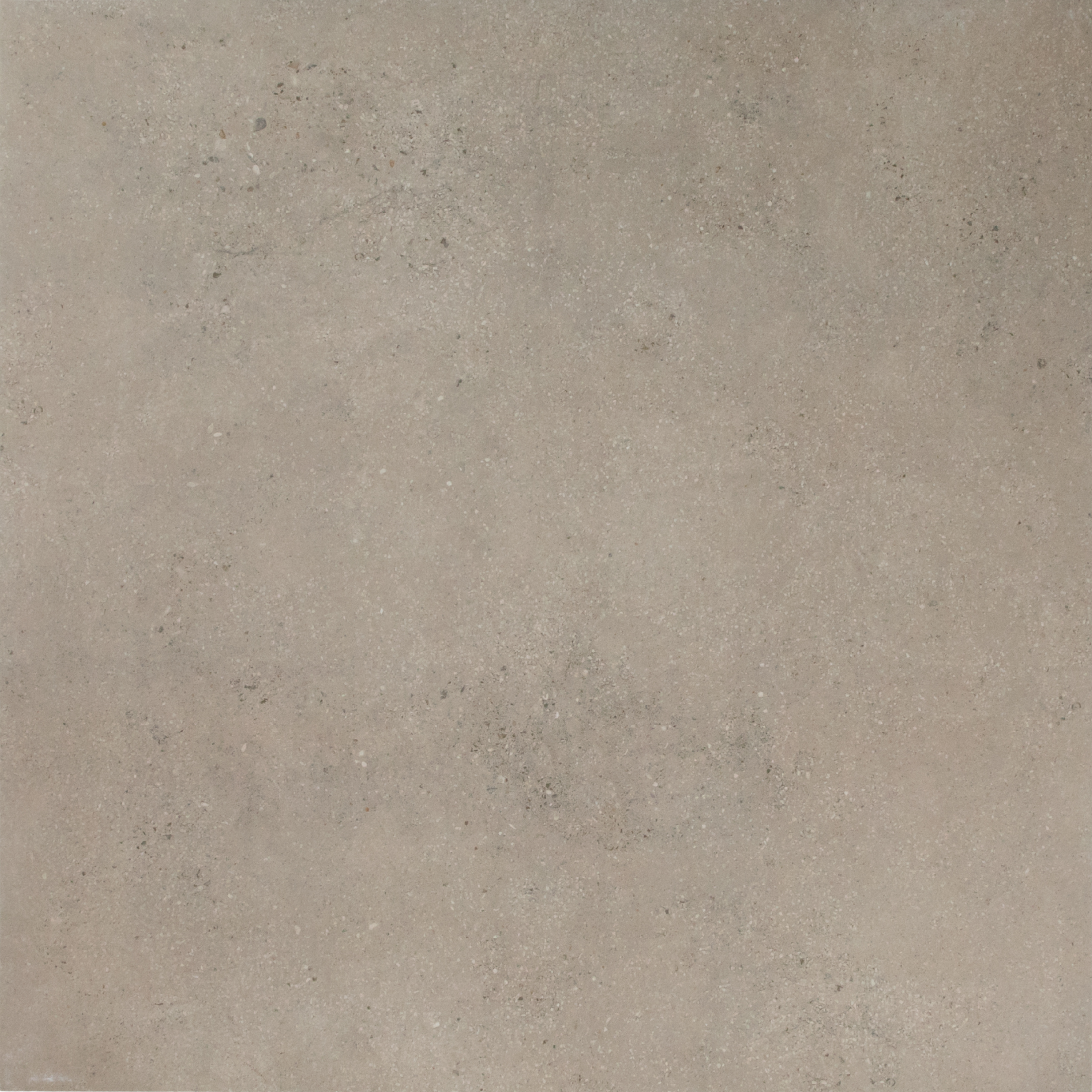 Lifestone Light Grey Matte