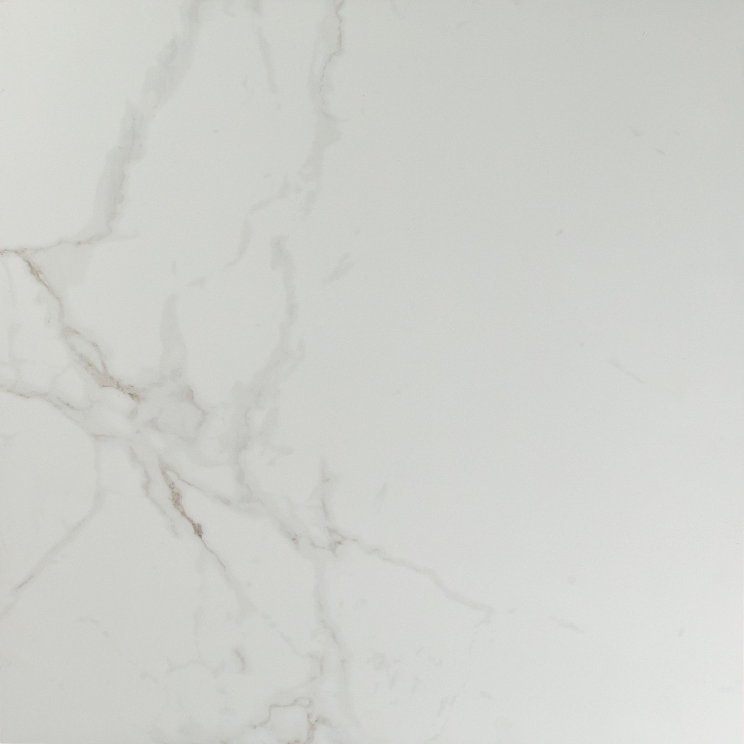 Magnificent Carrara Matte
