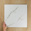 Multi Carrara Polished