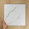 Multi Carrara Polished