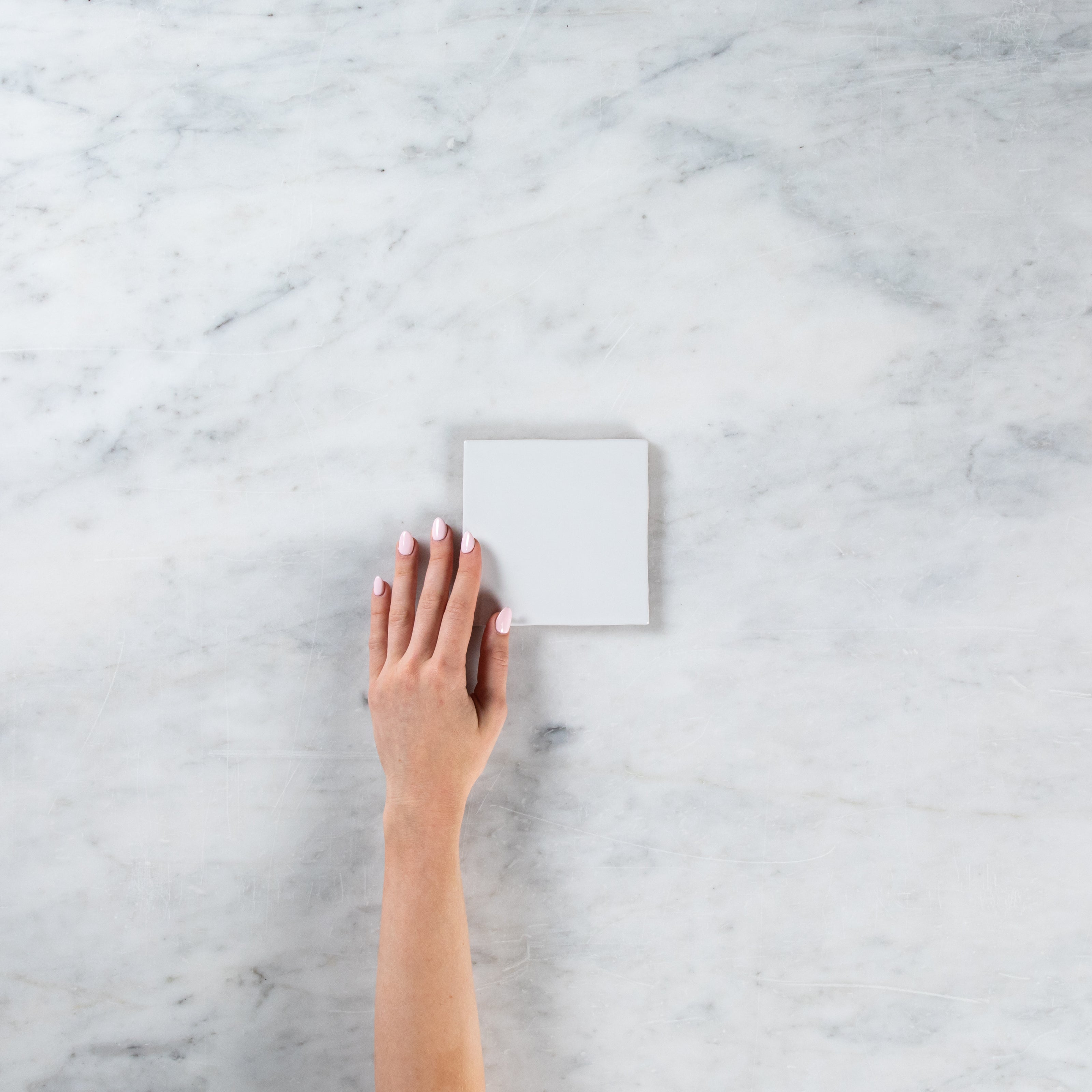 Noosa White Gloss Variation 125 x 125