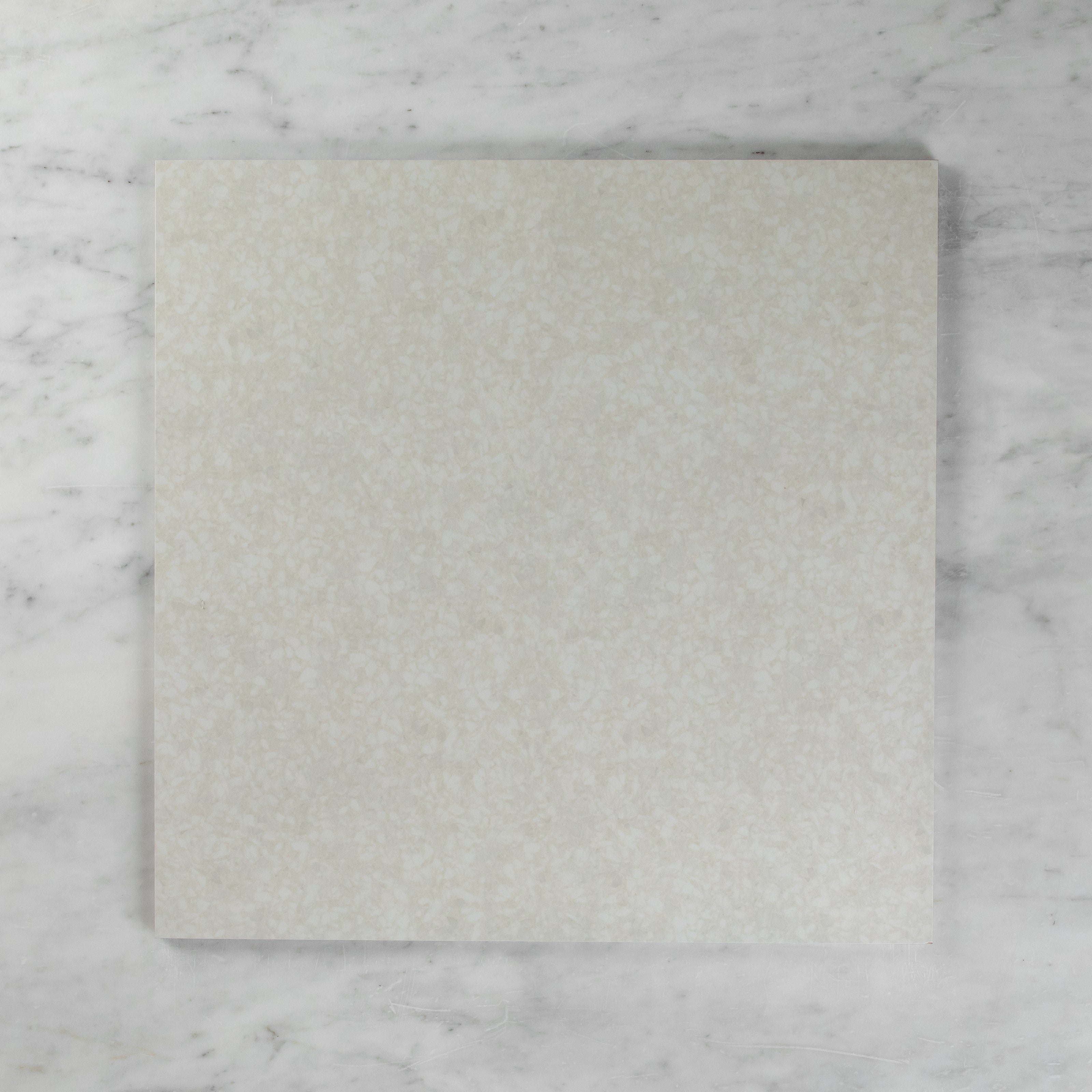 Paddington Terrazzo White In Out