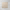 Paradise Stone Ivory External Bullnose