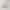 Paradise Stone Ivory External Bullnose