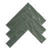 Pasha Forest Gloss Subway