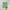 Porcelain Light Green Glossy Mosaic
