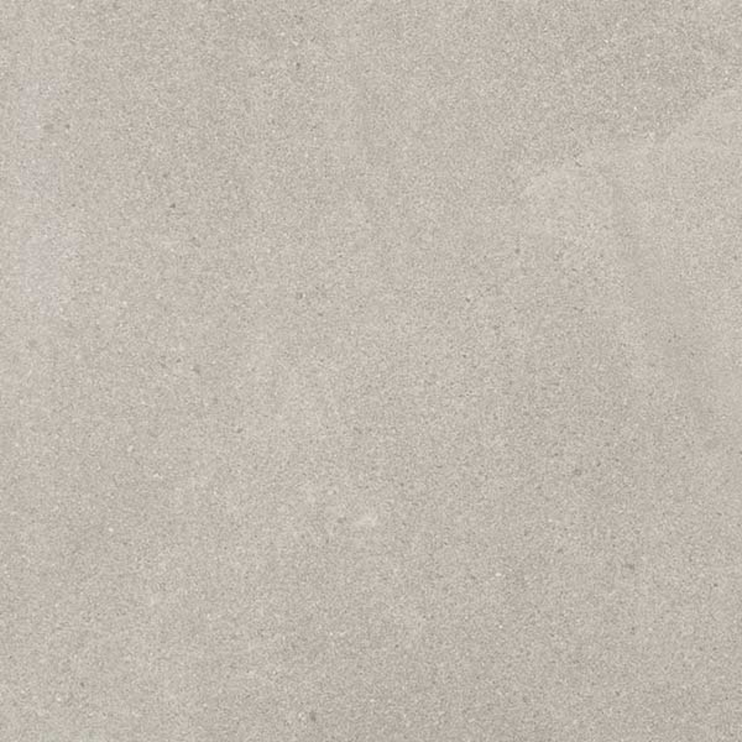 Spartia Gris In Out