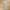 Stella Beige Lappato