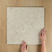 Terrazzo Stone Golden In Out
