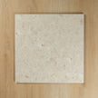 Terrazzo Stone Golden In Out