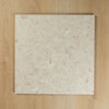 Terrazzo Stone Golden In Out