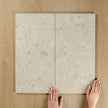 Terrazzo Stone White In Out