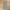 Trend Light Grey Matte
