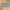 Trend Light Grey Matte