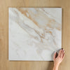 White Plus Calacatta Gold Polished