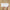 White Gloss Pressed Edge